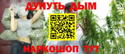 mdpv Брянск